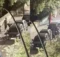 Ragazza picchiata a Napoli, trovato l’aggressore 5
