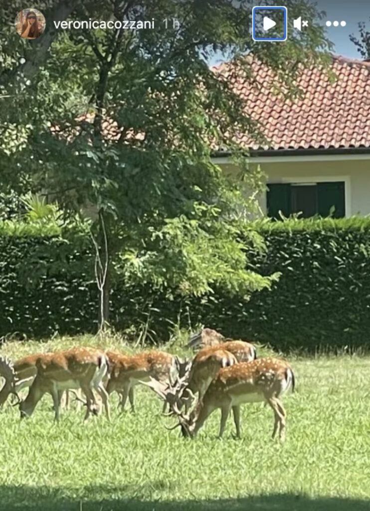 La mamma di Belen pubblica un post particolare che mette il dubbio 2