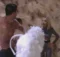 GHVIP, Oriana nella casa incontra un amico di Daniele 5