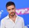 Liam Payne, le rivelazioni di un ragazzo 8