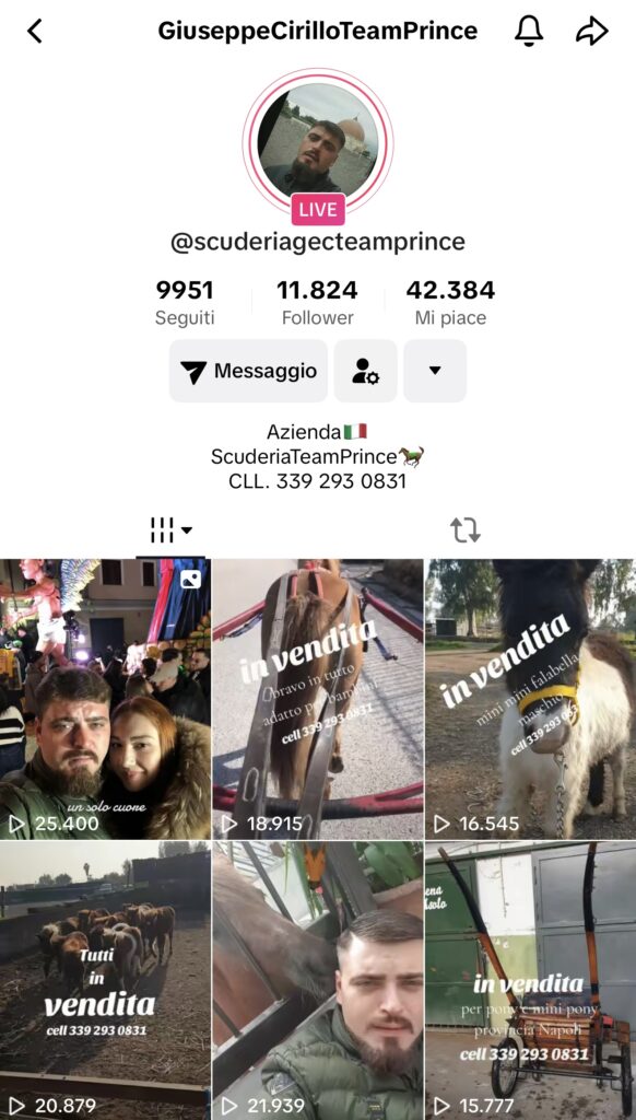C’è posta per te, la storia di Giuseppe e Concetta 4