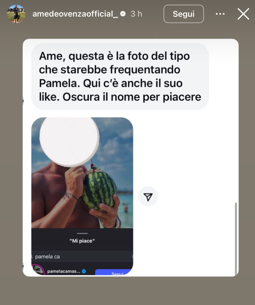 Pamela Camassa ritrova l’amore 3