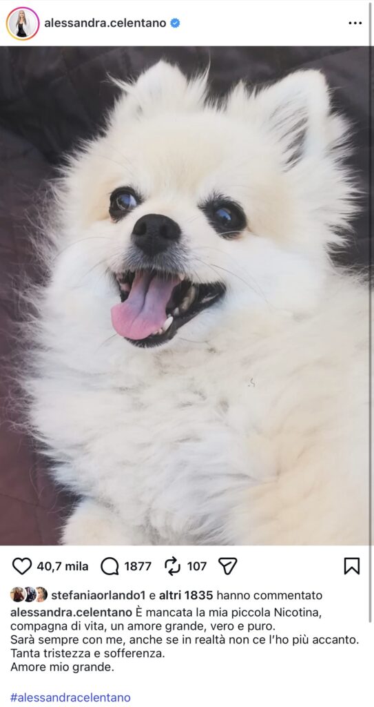 Grave lutto per Alessandra Celentano 2