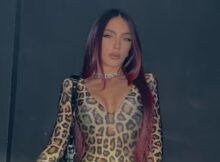 Omicidio Ylenia Musella, il fratello confessa 5