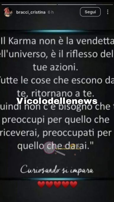 Grande Fratello, la madre di Lorenzo contro Shaila 2