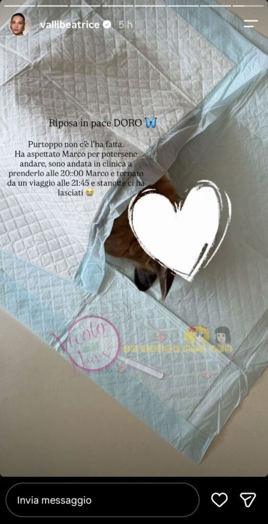 Grave lutto per Beatrice e Marco 2